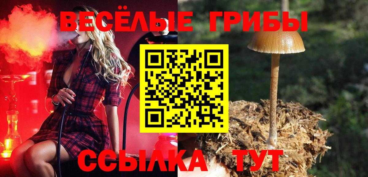 Псилоцибиновые грибы Psilocybine cubensis Нефтеюганск